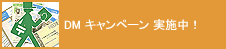 DMキャンペーン実施中!