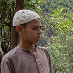 自然災害緊急募金