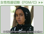 女性性器切除（FGM/C）