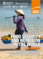 報告書『世界の食料安全保障と栄養の現状(原題：The State of Food Security and Nutrition in the World)』