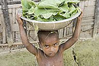 写真：野菜を運ぶ子ども