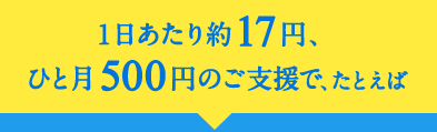 1日あたり約17円、ひと月500円のご支援で、たとえば