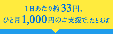 1日あたり約33円、ひと月1,000円のご支援で、たとえば